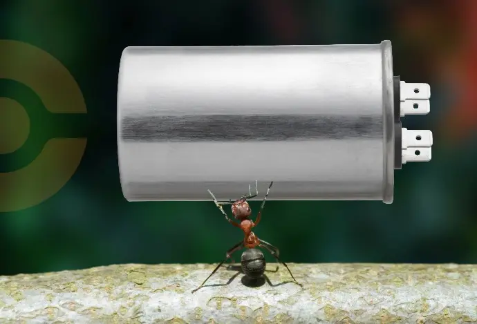 An ant lifting a with large and heavy component to depict the challange with large components.